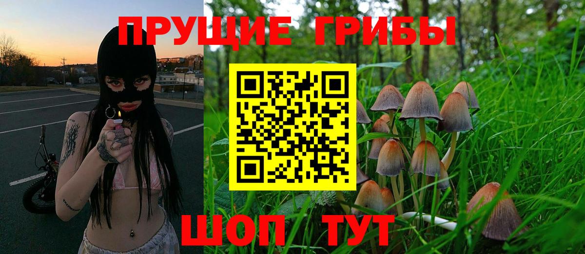 Галлюциногенные грибы Psilocybe  Вход с VPN  Галлюциногенные грибы Cubensis  Скопин 
